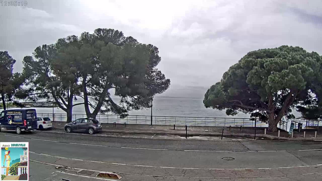 A cloudy day shows a road next to a body of water, with several cars parked near large, dark green trees.
