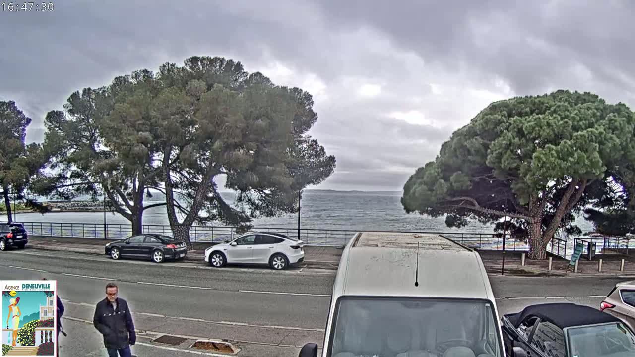 A mostly cloudy day shows several cars parked along a seaside road lined with large pine trees, and a man walking on the sidewalk.