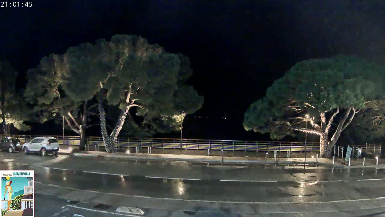 A wet, nighttime street scene shows two large, illuminated trees flanking a road with a parked SUV and a low fence behind them.