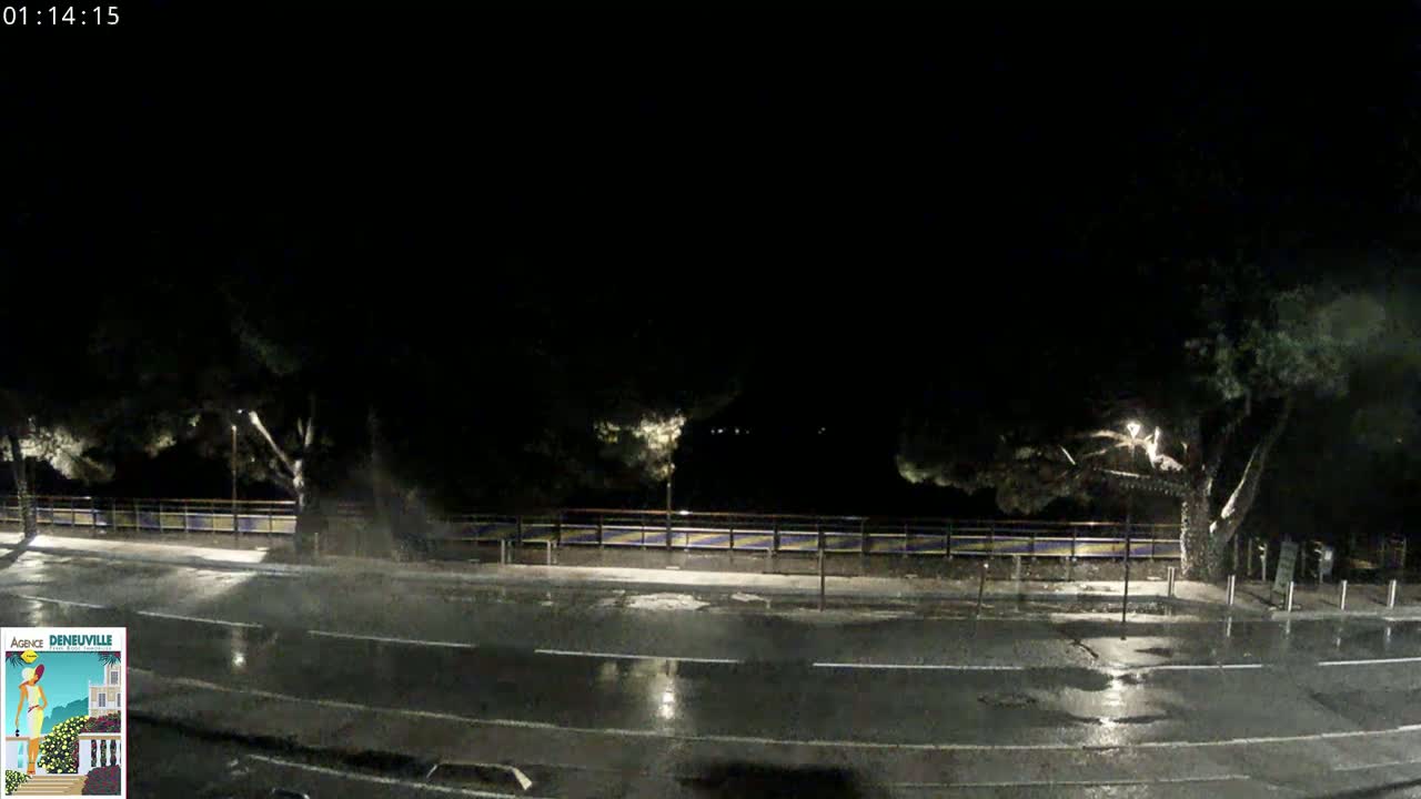 A rain-slicked nighttime street scene shows a wet road flanked by trees and a low wall under a dark sky.