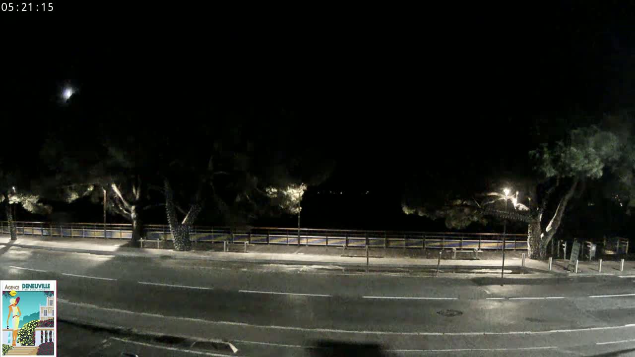 A nighttime, dimly lit street scene shows a road flanked by trees and a low fence, under a dark sky.