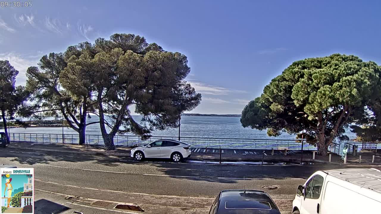 A seaside road scene on a sunny day shows a white SUV parked near large pine trees, with a calm body of water visible in the background.