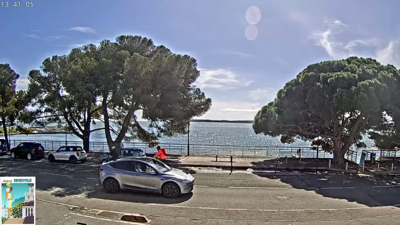 A silver SUV is parked near a waterfront road lined with large pine trees under a mostly sunny sky.