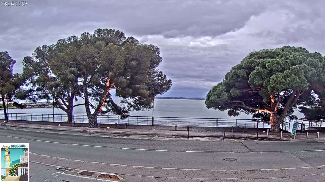 Two large pine trees stand on either side of a road overlooking a calm body of water under a cloudy sky.