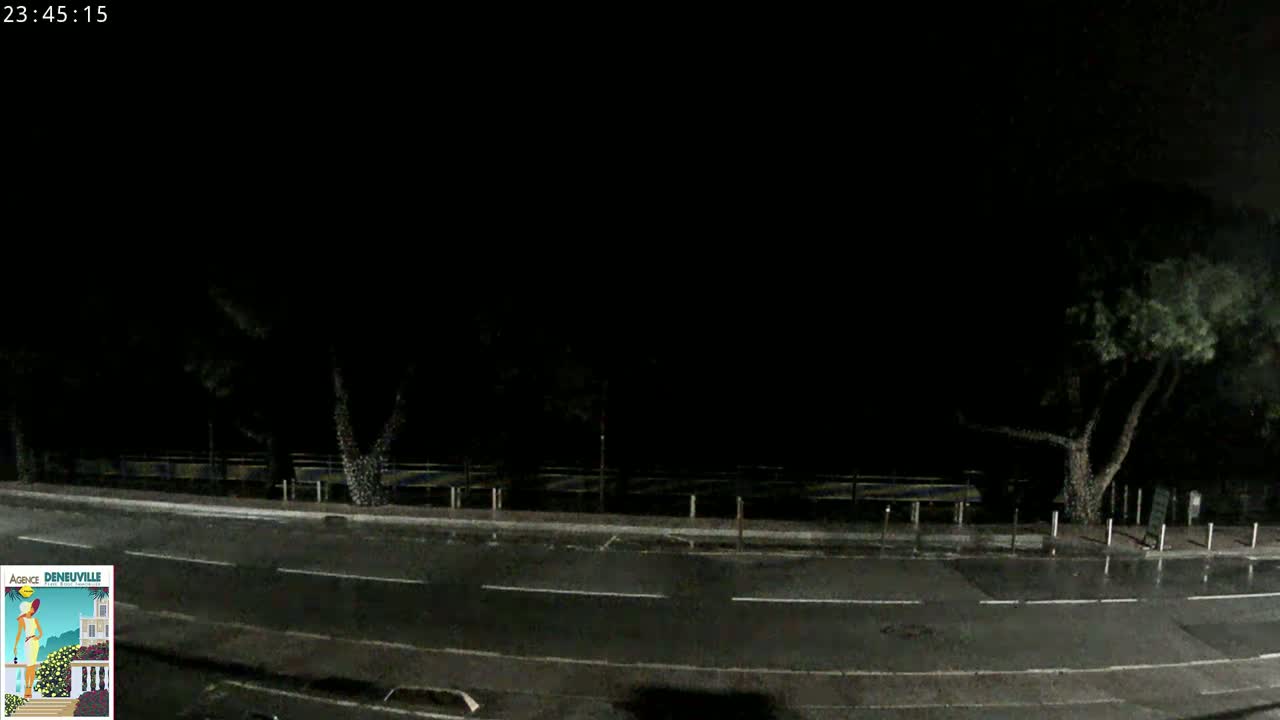 A dark, wet road at night is lined with trees, with a faint view of a waterfront in the background.