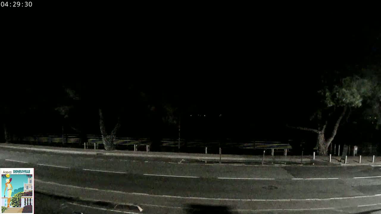 A dark, nighttime street scene shows a road bordered by trees and a dimly lit area beyond.
