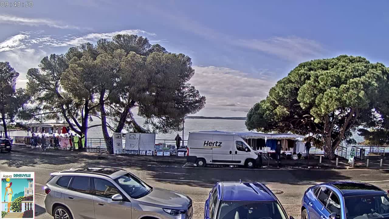 Under a mostly sunny sky, a waterfront scene shows several cars parked near a small outdoor market shaded by large pine trees, with a Hertz van parked nearby.