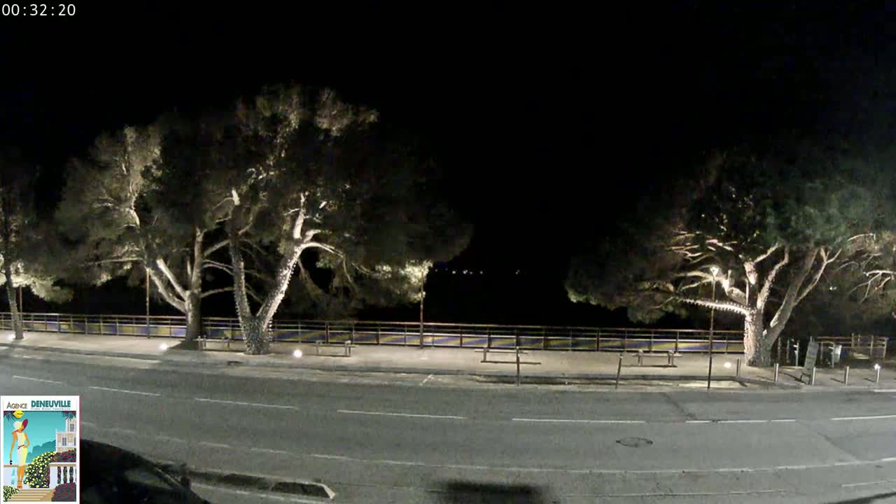 At night, several illuminated trees stand along a roadway next to a fence bordering a dark body of water.