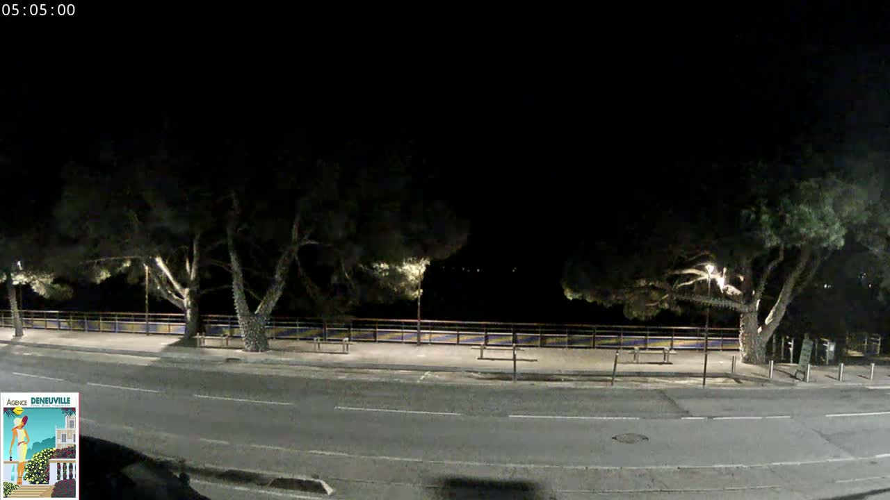 A nighttime street scene shows a roadway bordered by trees and a low wall, under a dark, clear sky.