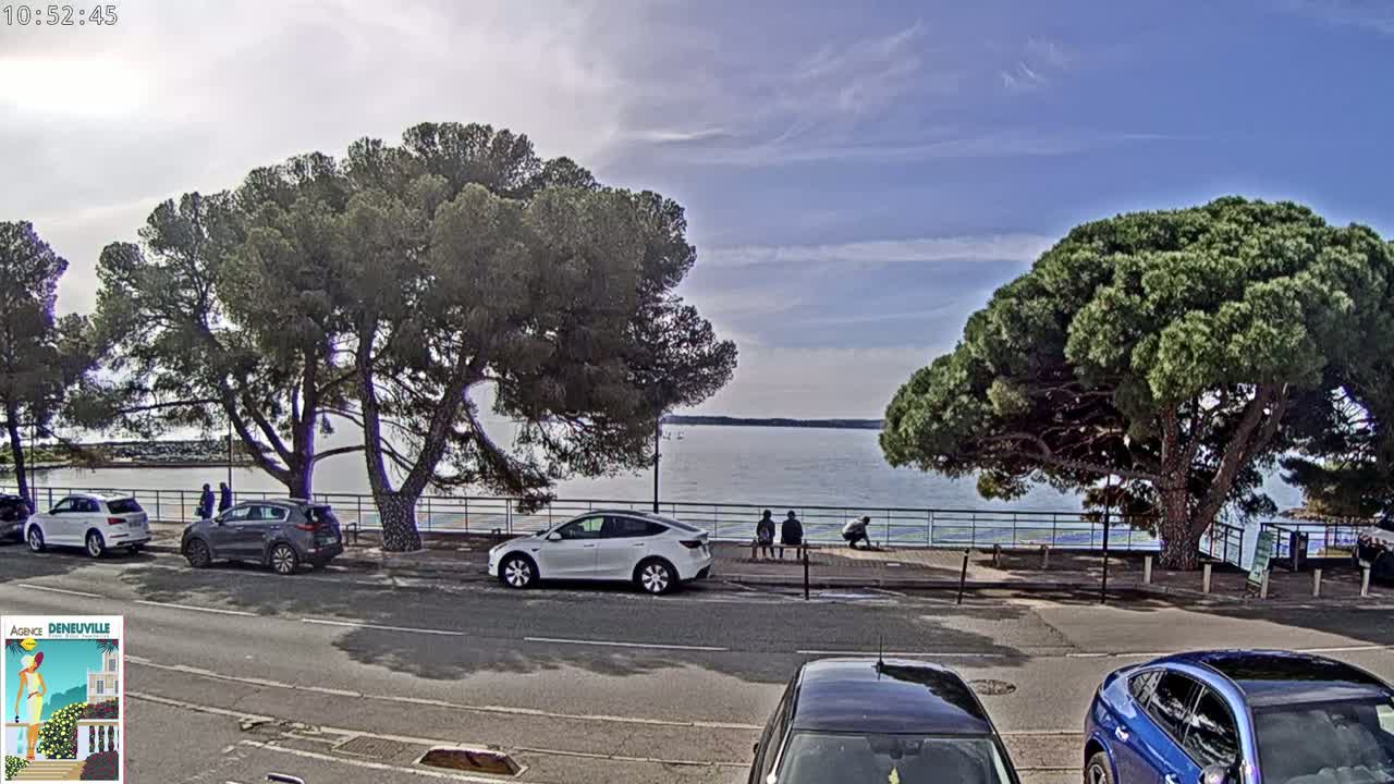 Cars are parked along a road next to a body of water under a mostly sunny sky, with several large pine trees shading the roadside.