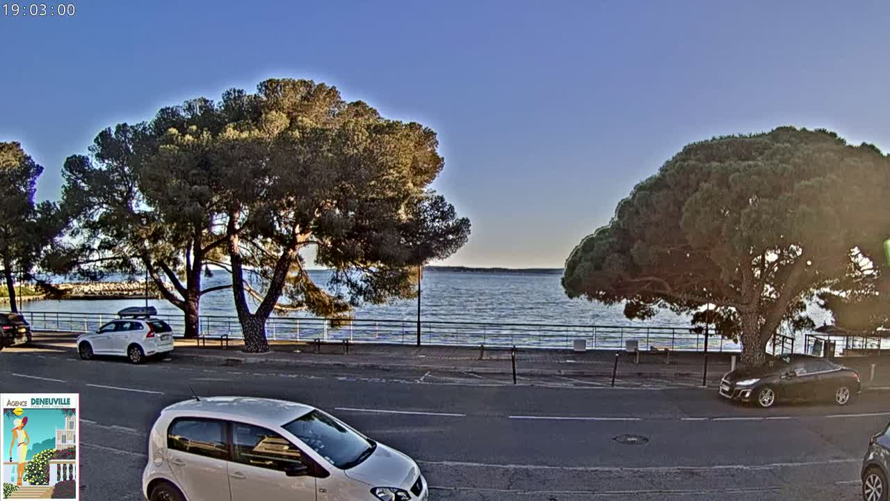 A calm body of water is seen beyond a road lined with trees and parked cars, under a clear, late afternoon sky.