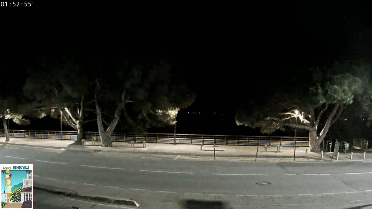 A nighttime, dimly lit street scene shows a road bordered by trees and a low fence, with some lights illuminating the area.