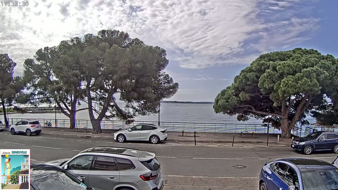 A partly cloudy day shows several cars parked along a road next to a calm body of water, with large pine trees shading the roadside.