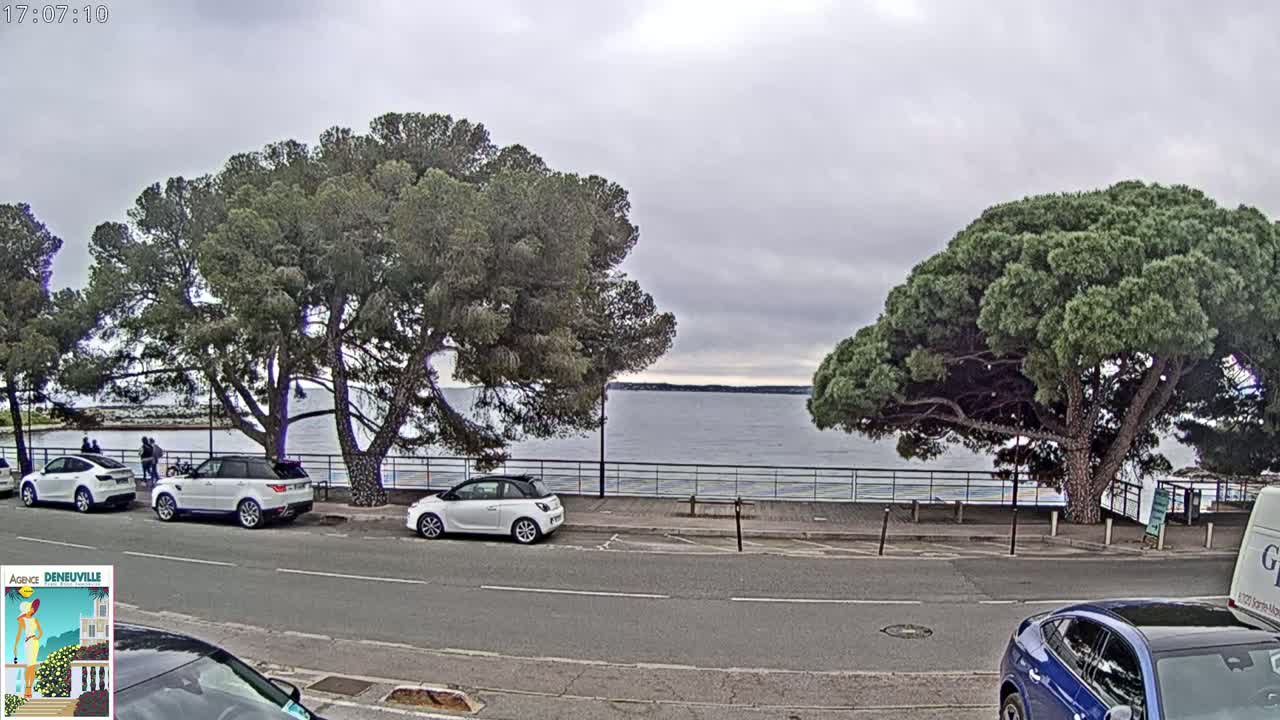 Several parked cars line a road next to a body of water under an overcast sky, with large, green pine trees shading the scene.