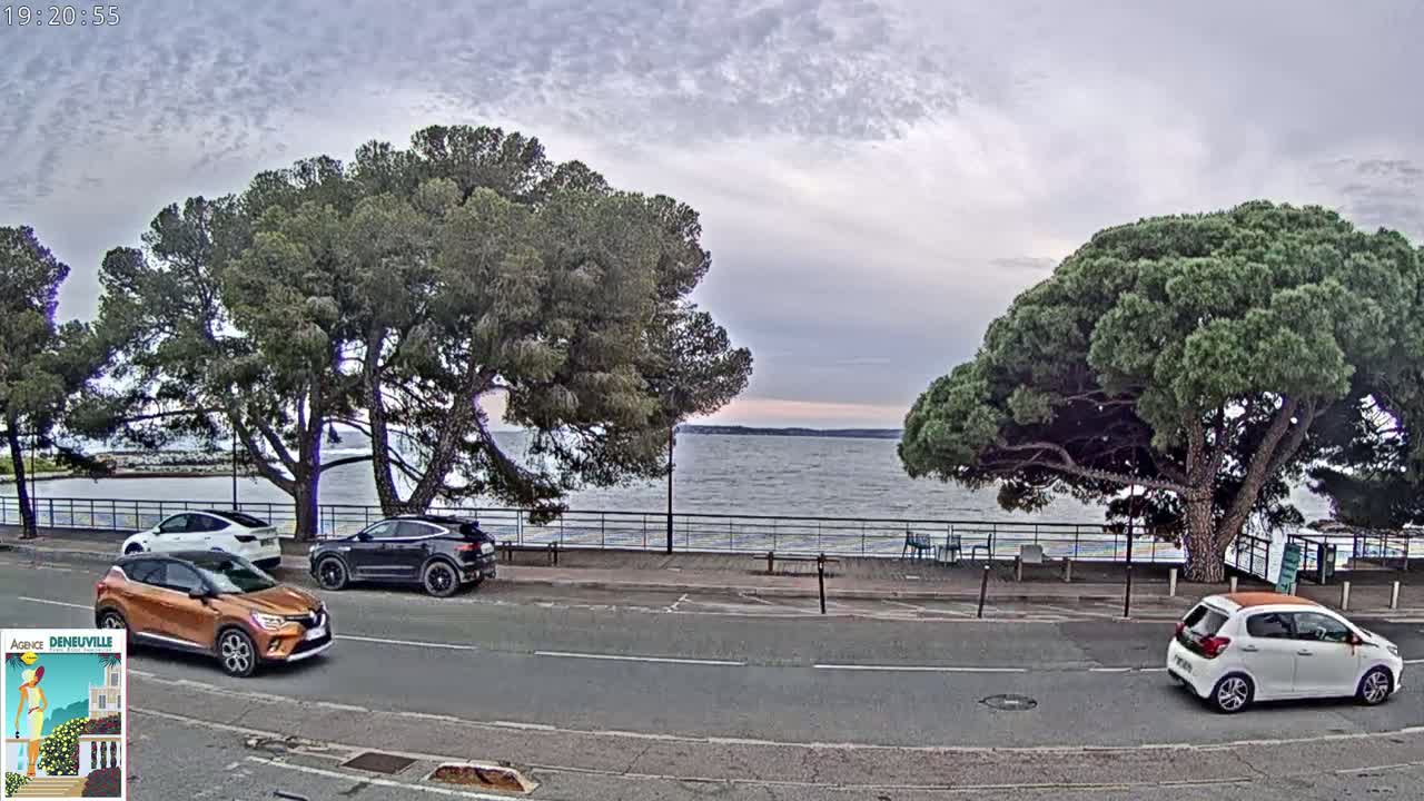 Several cars are parked along a road beside a calm body of water under a cloudy sky, with large pine trees lining the roadside.