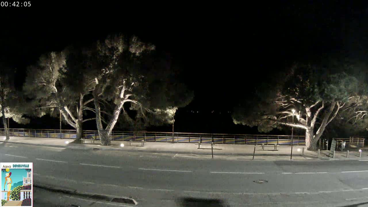 A nighttime view of a road lined with illuminated trees and a low wall beside a body of water.