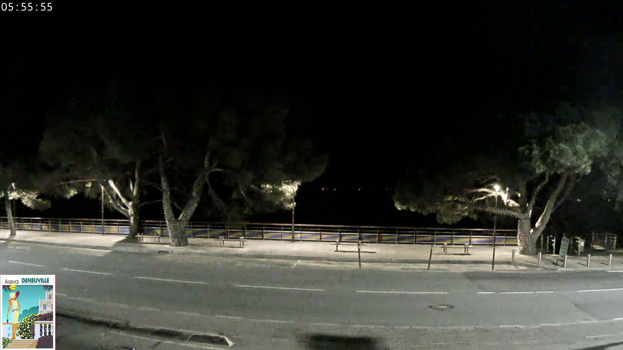 A nighttime, dimly lit street scene shows a road bordered by trees and a low fence, with a few lights illuminating the area.