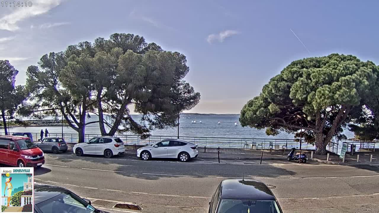 A mostly sunny day overlooking a calm body of water with several sailboats, cars parked along a roadside lined with large pine trees.