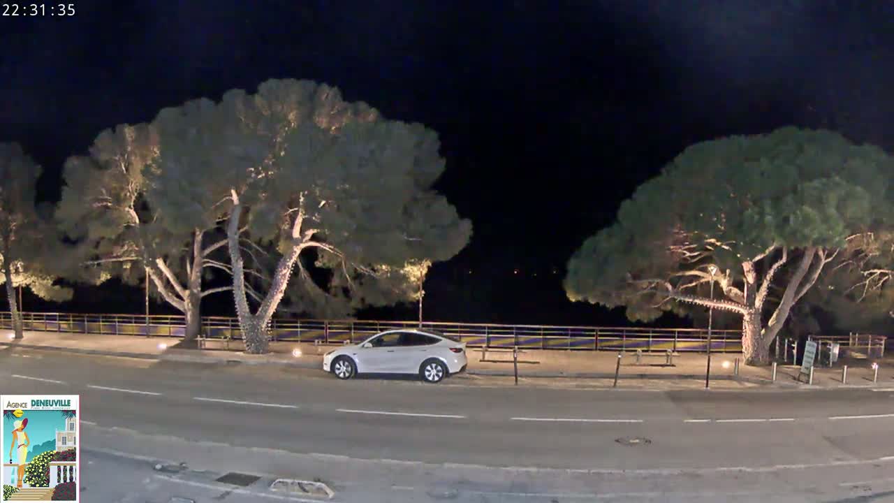 A white SUV is parked on a nighttime street beside two large, illuminated trees, next to a low wall.