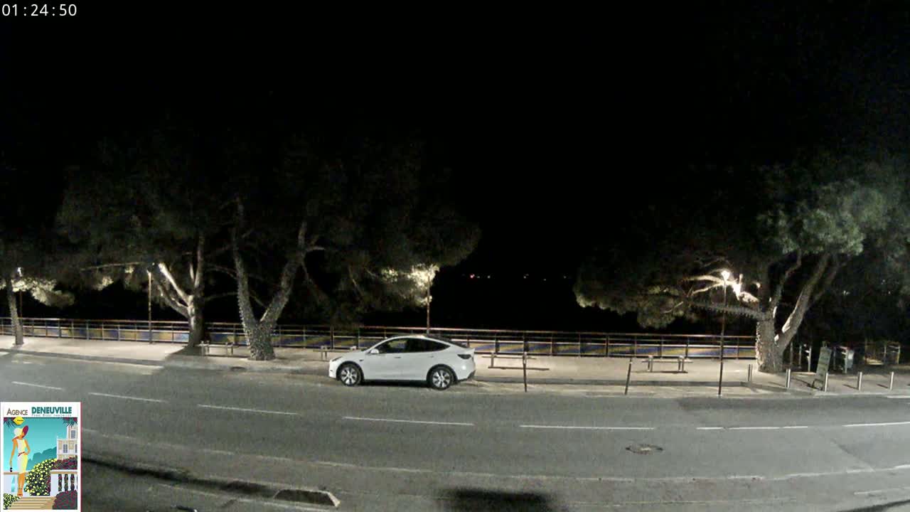 A white car is parked on a dark, empty road at night, lined with trees and a low wall.