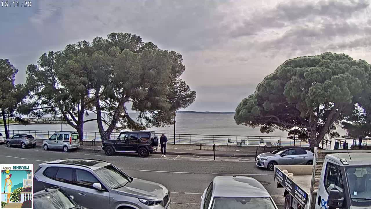 A parking lot next to a calm body of water, under an overcast sky, is partially shaded by large pine trees.