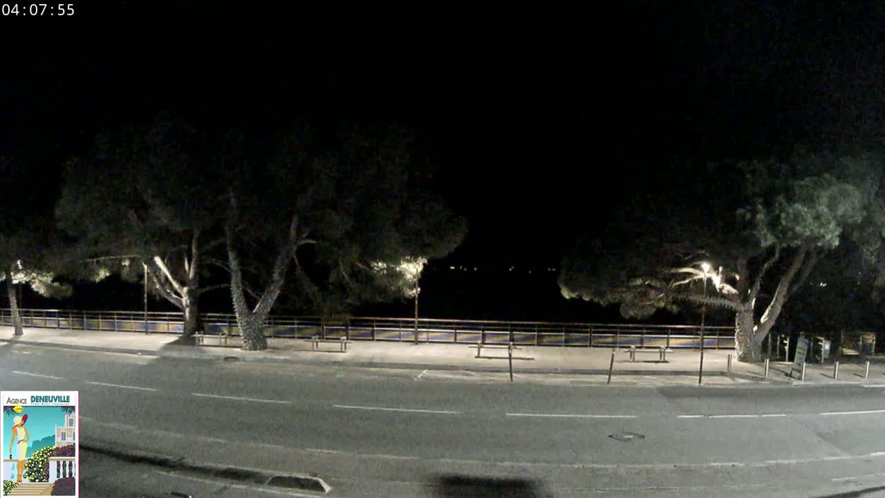 A nighttime, dimly lit road runs alongside a low fence and several tall, dark trees under a clear, dark sky.