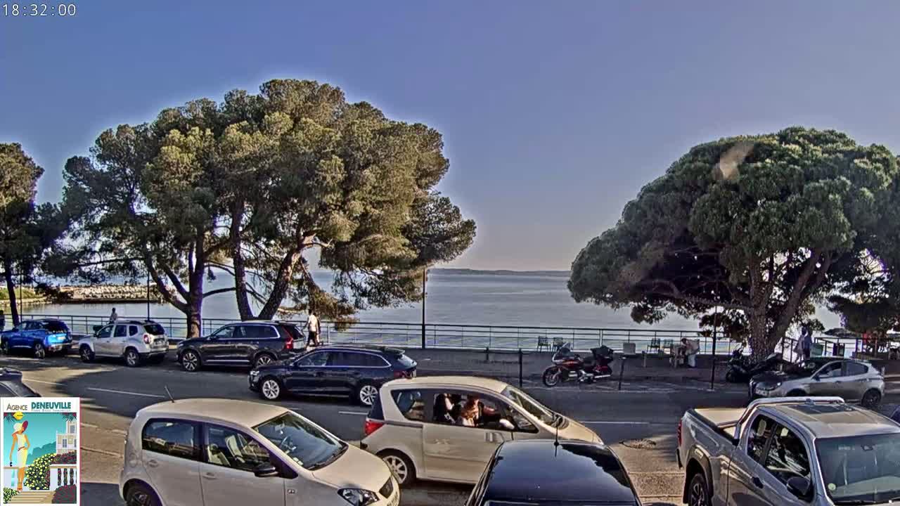 Several cars are parked and driving along a road next to a calm body of water under a clear blue sky, with large pine trees lining the roadside.