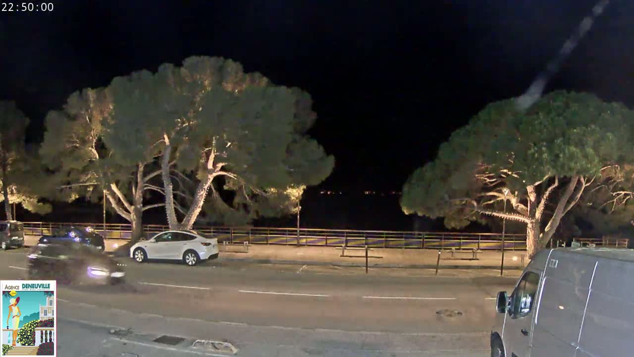 At night, several cars are parked along a waterfront road lined with illuminated trees.