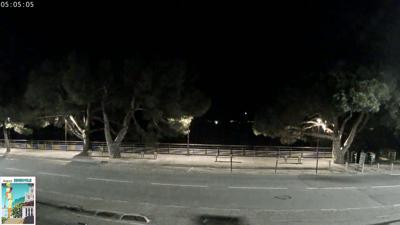 A nighttime street scene shows a road bordered by trees and a low fence, under a dark sky.