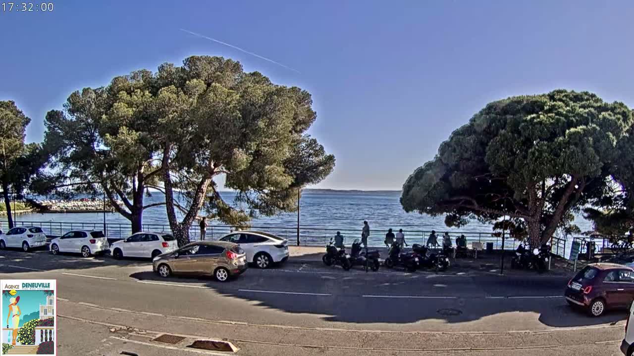 Under a clear blue sky, several cars are parked along a roadside next to a calm body of water, with people gathered near the water's edge under the shade of large pine trees.