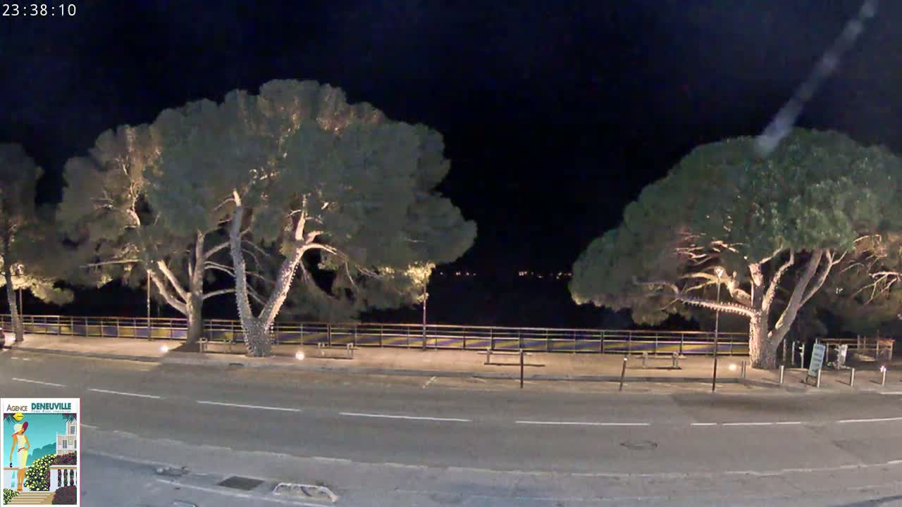 At night, two illuminated pine trees stand on either side of a roadway overlooking a calm body of water under a dark sky.