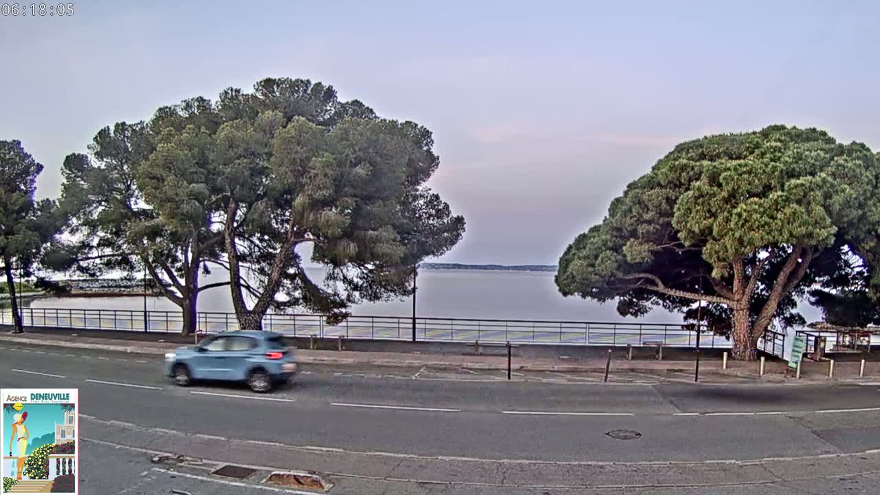 A blue car drives along a road beside a calm body of water, under a pale sky, with large pine trees shading the roadside.