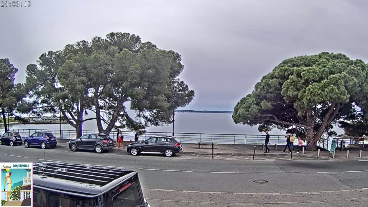 Several cars are parked along a road next to a calm body of water under an overcast sky, with large pine trees shading the roadside.