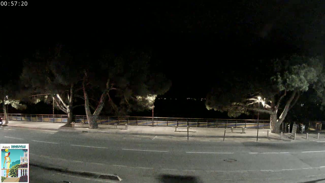 A nighttime street scene shows a road bordered by trees and a low fence, with faint lights visible in the distance.