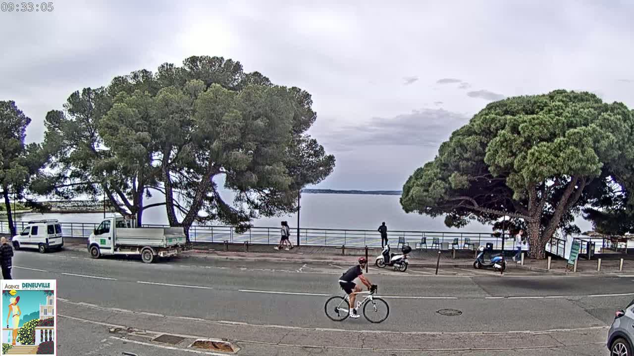 A cyclist rides along a road next to a calm body of water, under a cloudy sky, with several parked vehicles and people walking near large pine trees.