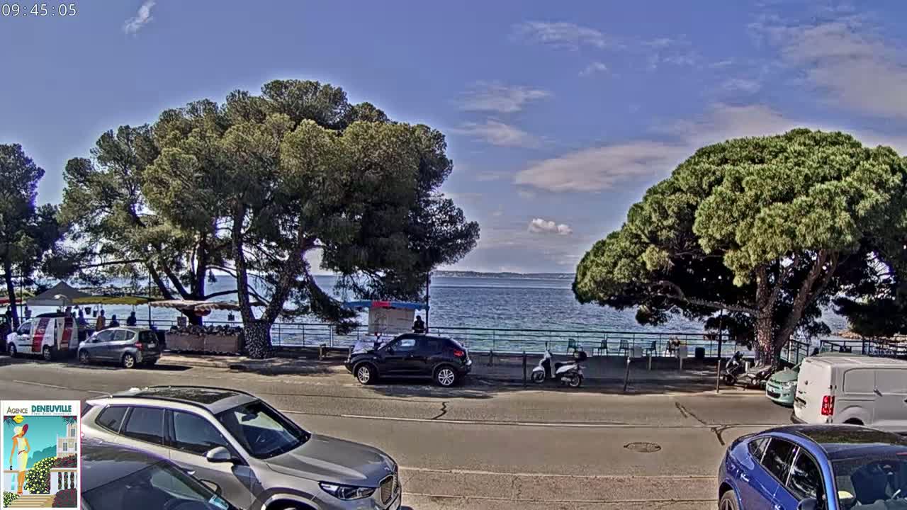 A sunny day at a seaside promenade shows several parked cars, a few people near market stalls under trees, and calm blue water beyond a railing.