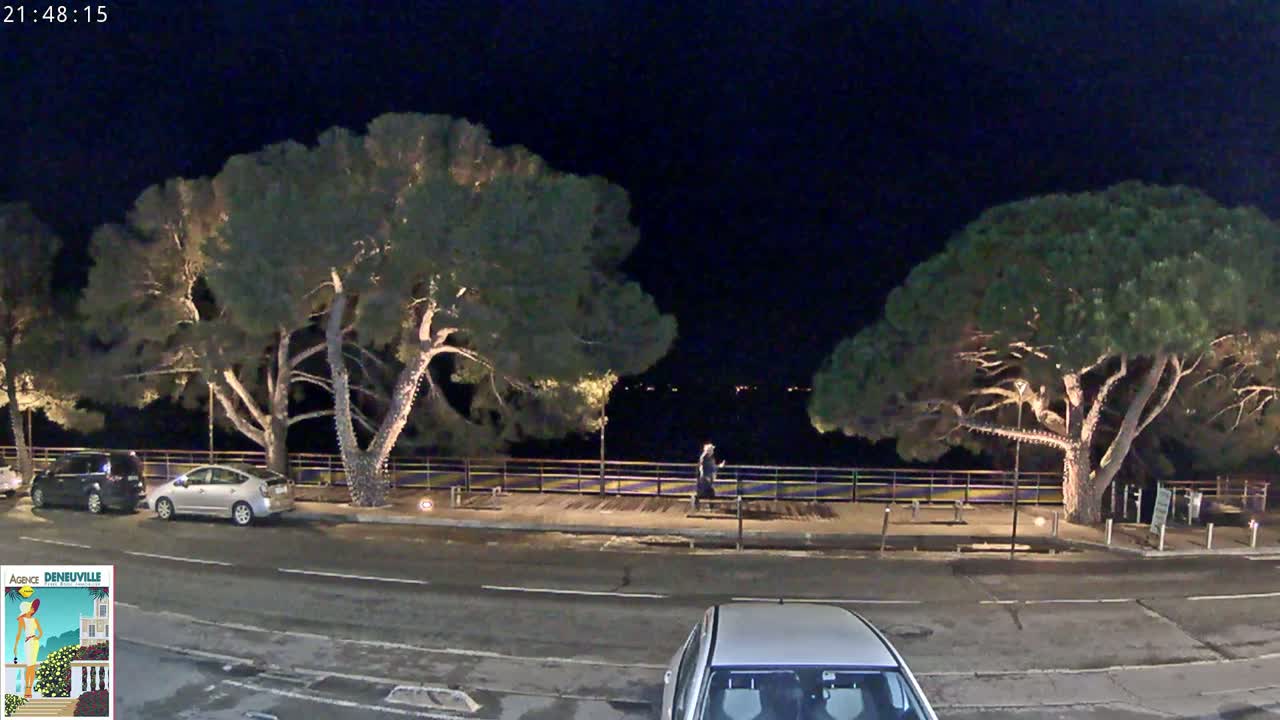At night, a person walks along a waterfront path lined with illuminated trees and parked cars.