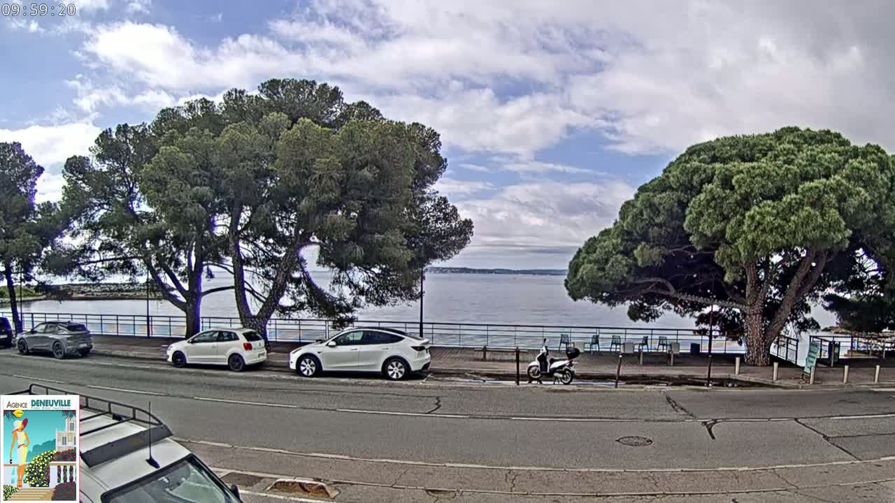 A partly cloudy day shows several cars parked along a seaside road lined with pine trees, a scooter, and a calm body of water in the background.