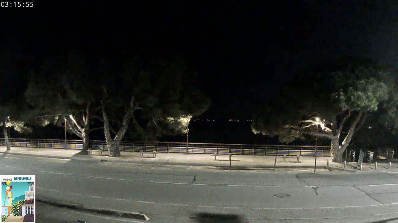 A dark night scene shows a paved road next to a row of trees and a fence, with distant lights visible beyond the trees.