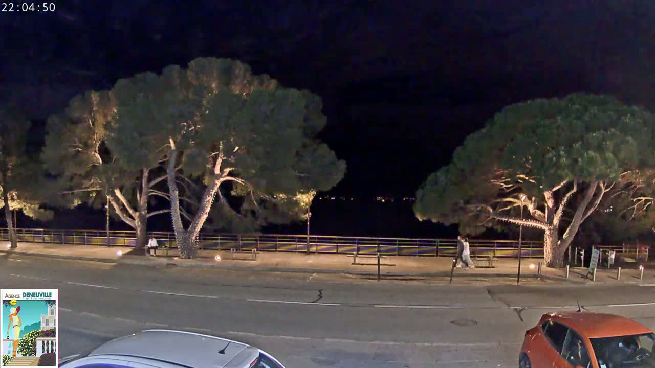 At night, two large, illuminated trees stand on either side of a paved walkway beside a road, with a person walking in the distance.