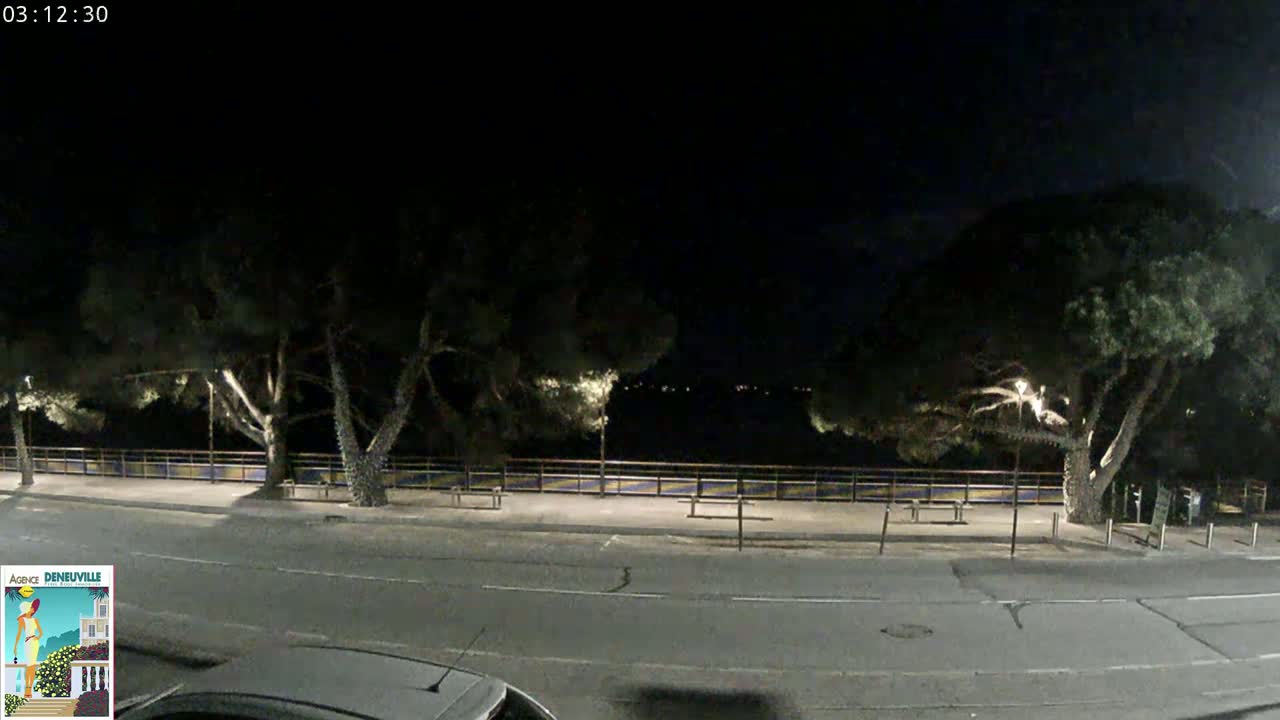 A nighttime street scene shows a dark road lined with trees and a low wall, under a clear, dark sky.
