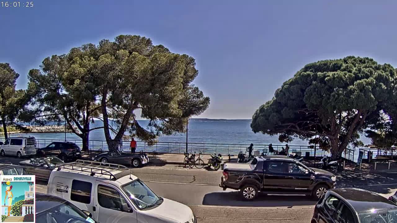 A seaside road scene on a sunny day shows several cars parked along the road next to large, shady trees and a calm blue ocean in the background.