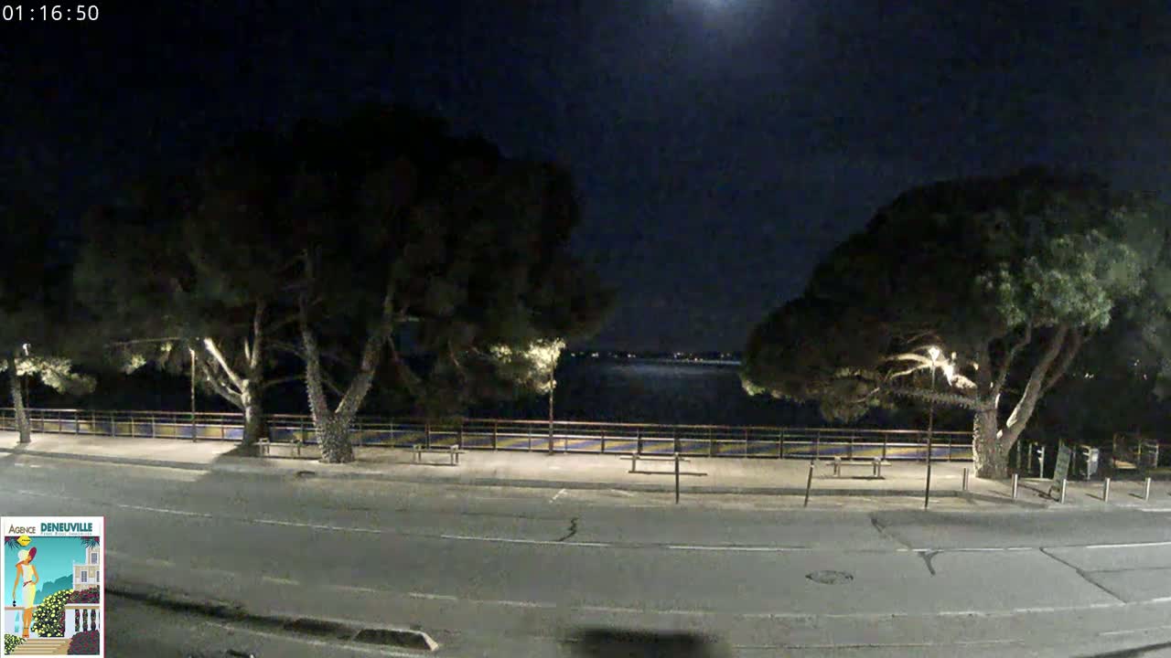 A nighttime view of a paved road next to a calm body of water, lined with trees and a low fence, under a mostly clear sky with a bright moon.
