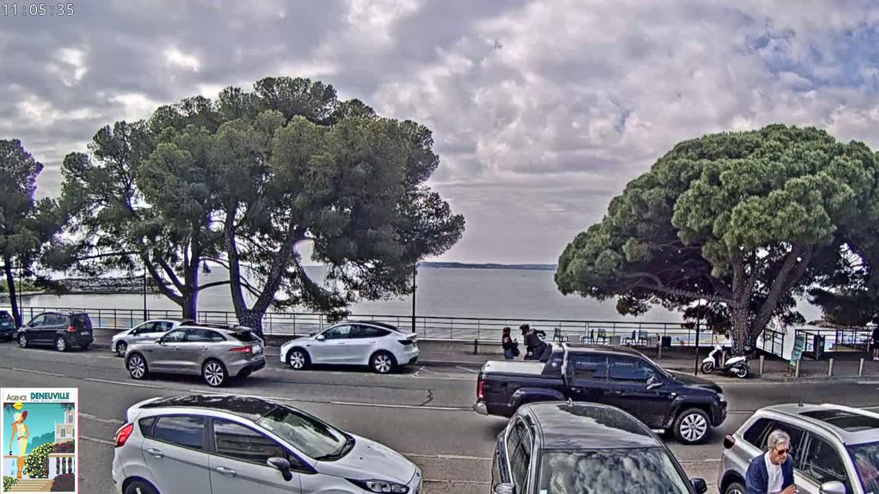 Several cars are parked along a road next to a calm body of water, under a partly cloudy sky, with large pine trees shading the roadside.