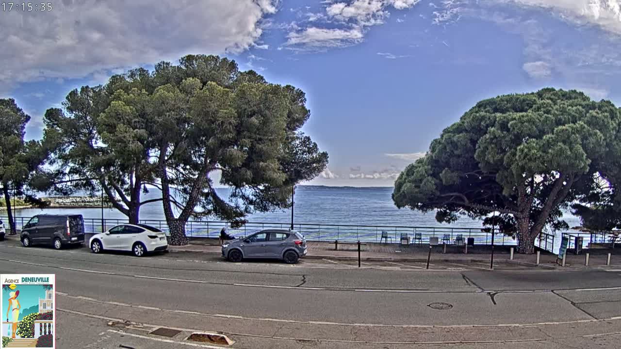 A partly cloudy day shows several cars parked along a road next to a calm body of water, with large pine trees shading the roadside.