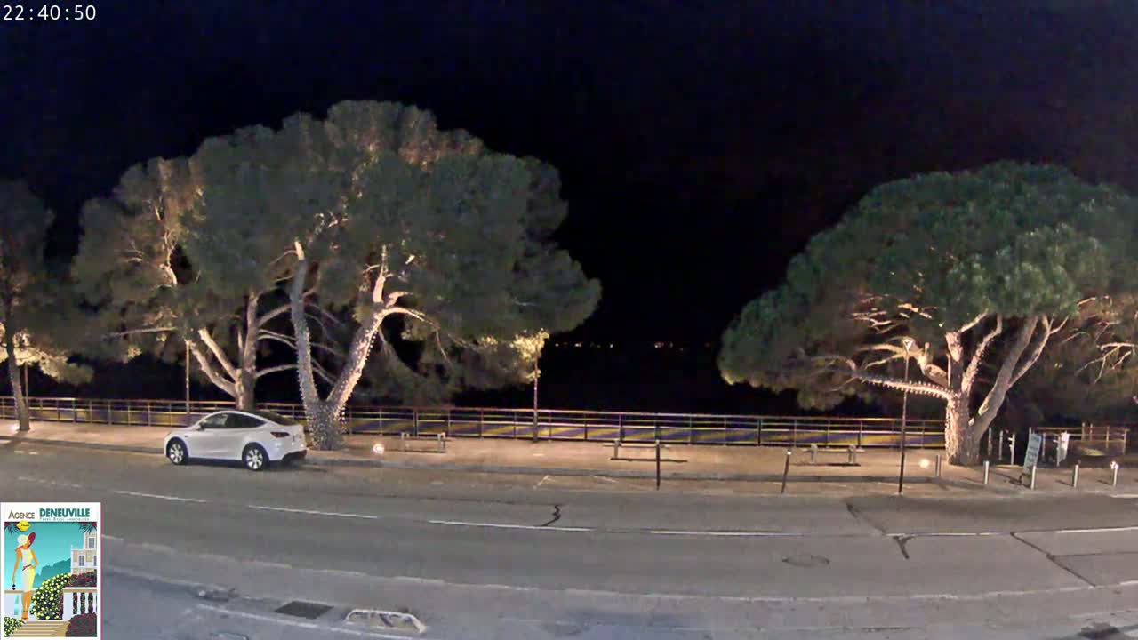A white car is parked at night next to a waterfront path lined with illuminated trees.