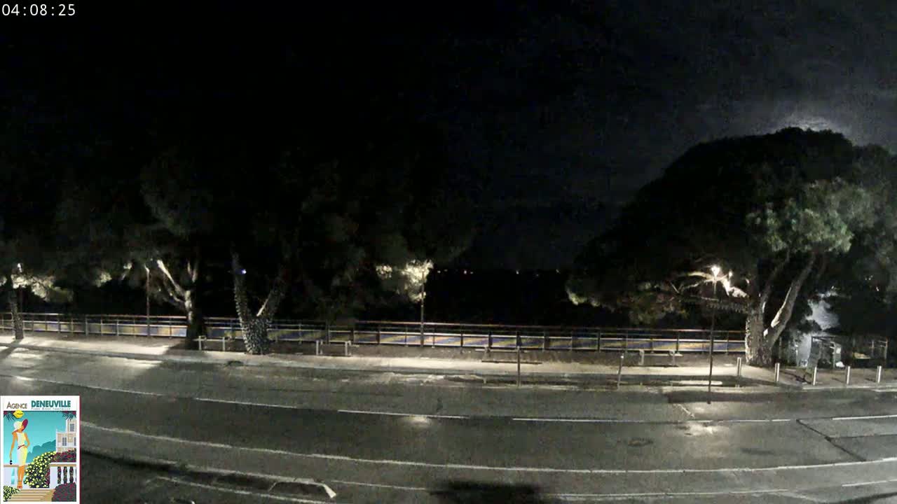 A nighttime, outdoor view of a paved road lined with trees and a low fence, under a dark sky.