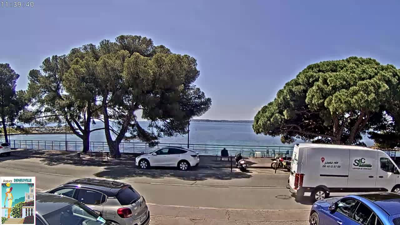 A sunny seaside scene with several cars parked along a road lined with large, green trees, overlooking a calm body of water.