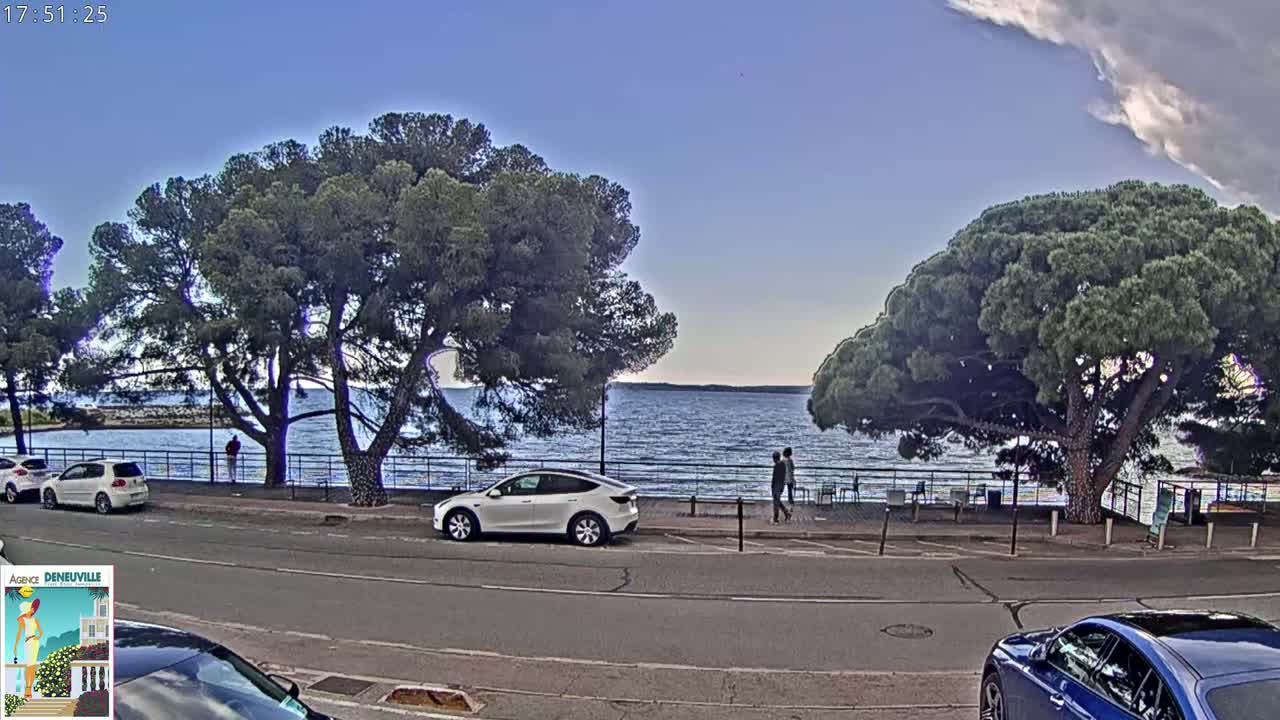 A clear, calm body of water is visible beyond a seaside road lined with parked cars and large pine trees under a mostly clear sky with a few clouds.