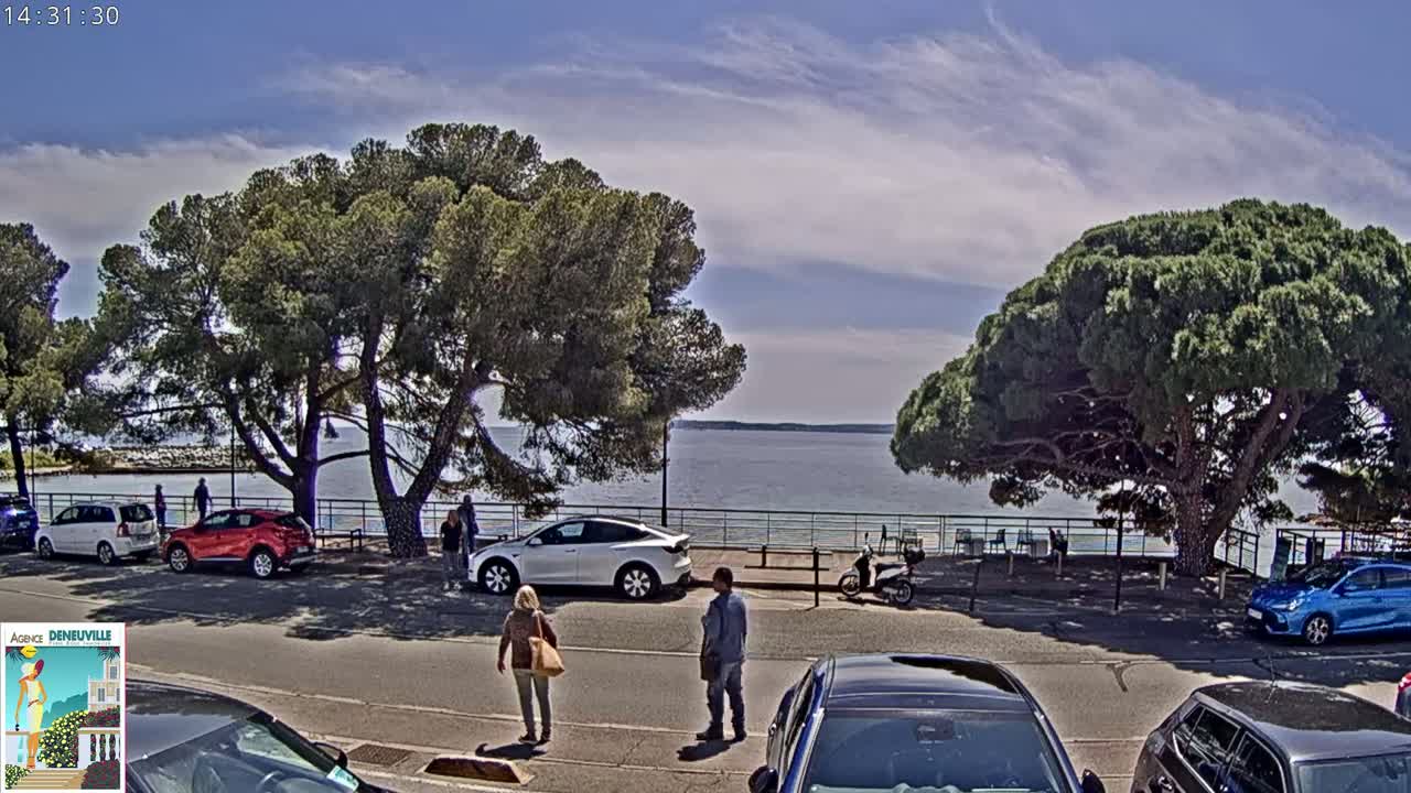 A sunny day with partly cloudy skies overlooks a calm body of water, with several cars parked along a waterfront road shaded by large pine trees and a few pedestrians present.